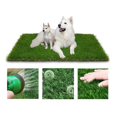 TAPETE MASCOTA ByePis | Tu mascota aprendera a ir al baño