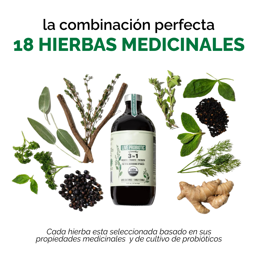BioFlora® Probiotic Digestivo