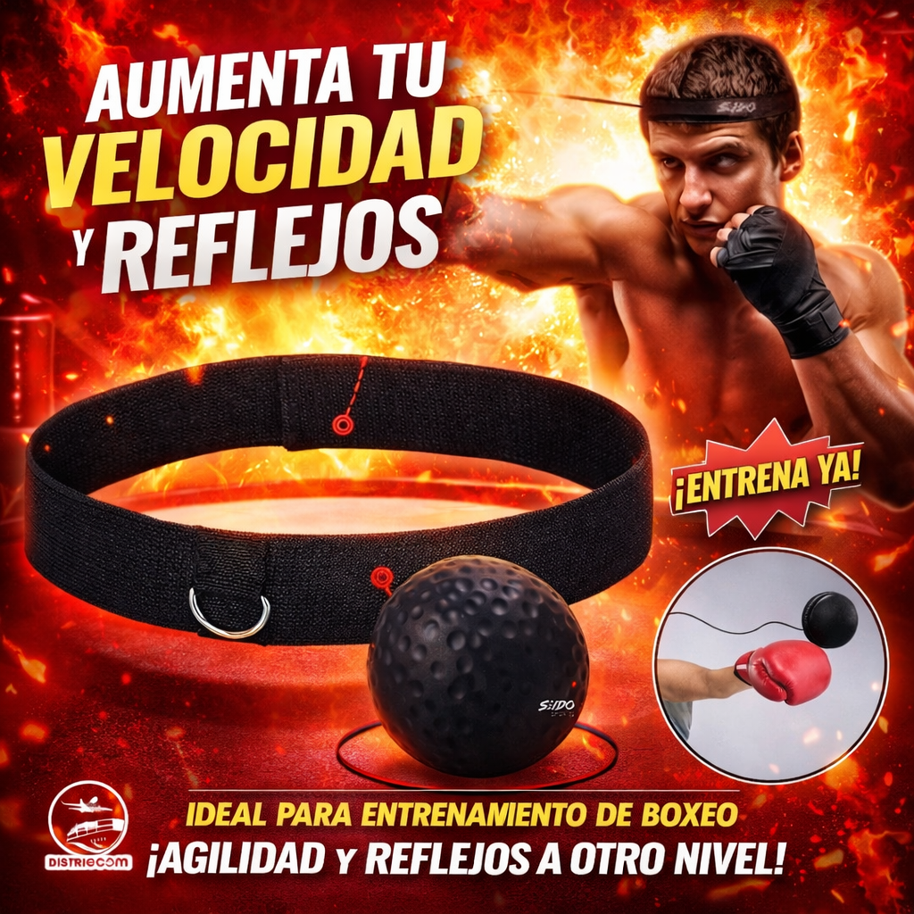 RockyBall Boxeo en Casa