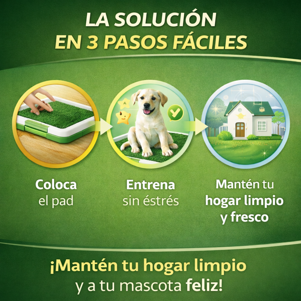 Tapete Entrenador DogPipW