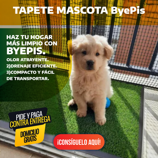 TAPETE MASCOTA ByePis | Tu mascota aprendera a ir al baño