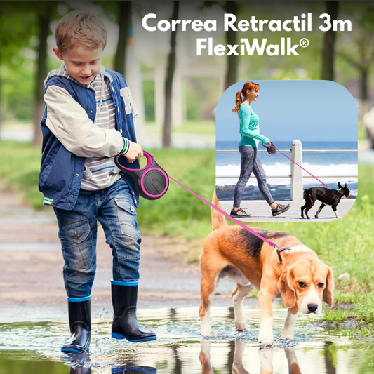 Correa Retractil 3m -  FlexiWalk®