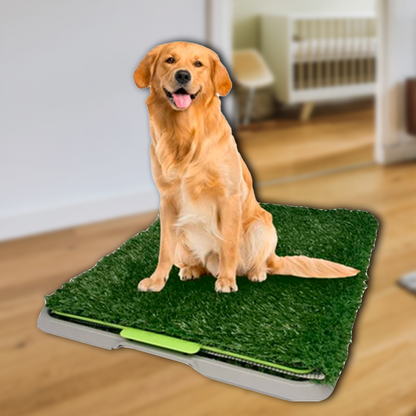 TAPETE MASCOTA ByePis | Tu mascota aprendera a ir al baño